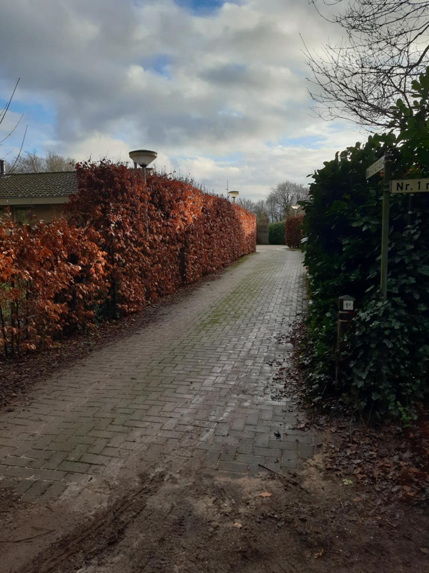 Villa Huinerhofje 2 - Vrijstaand Met Grote Omheinde Tuin, Rust, Privacy En Nabij Bossen Putten Exterior foto